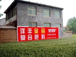 安康如何让墙体广告展现最大化效果