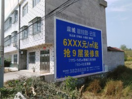 安康墙体广告质量分析