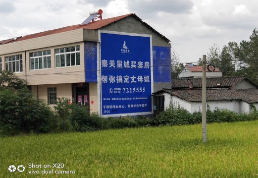 安康决定墙体广告价格的因素有哪些?