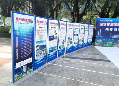 安康KT板的种类和知识。